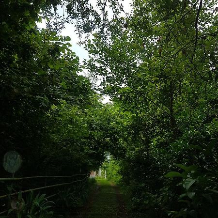 查克维塔泽生态旅馆别墅 外观 照片