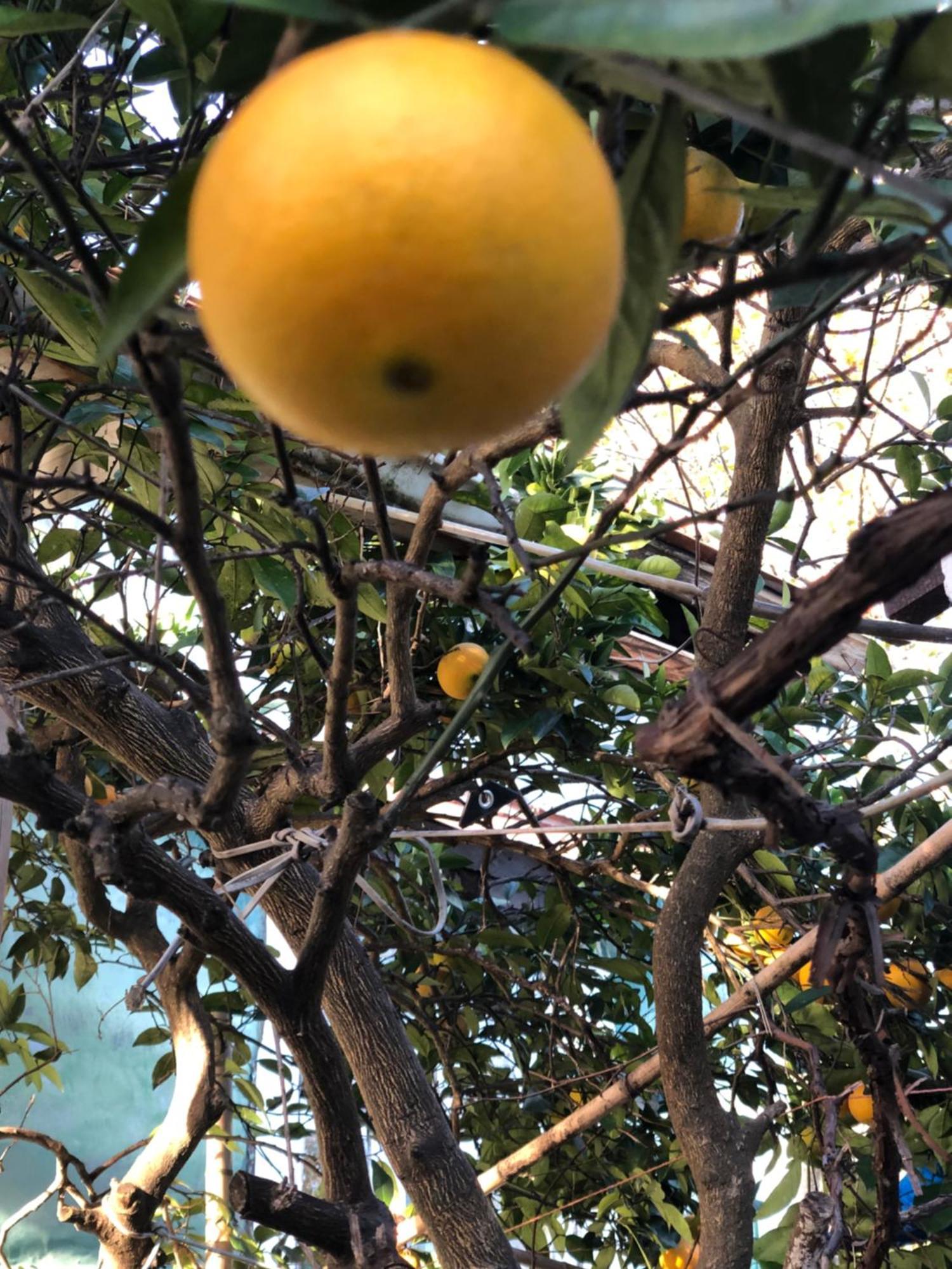 查克维塔泽生态旅馆别墅 外观 照片