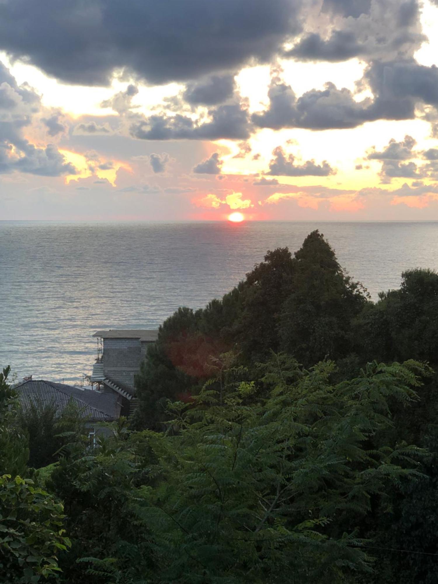 查克维塔泽生态旅馆别墅 外观 照片